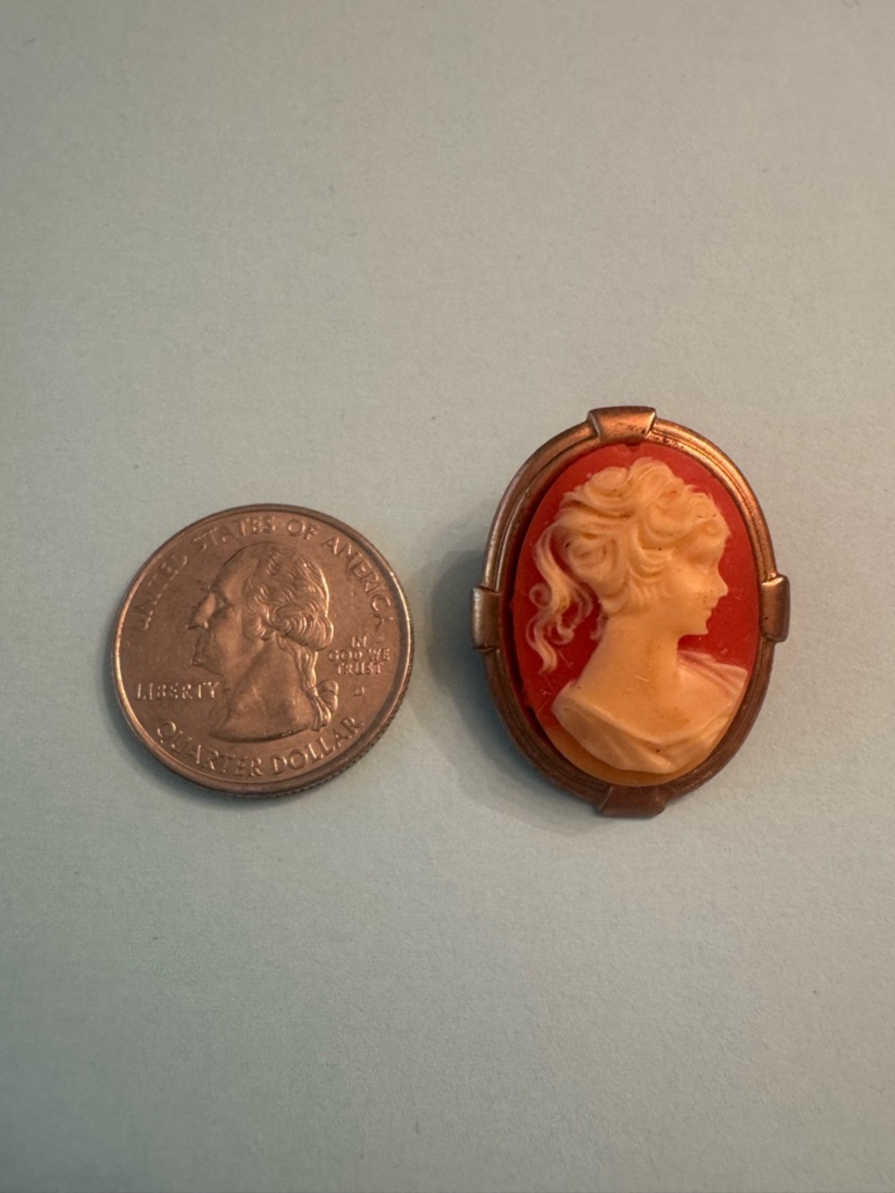 Vintage Cameo Brooch in Coral and Cream